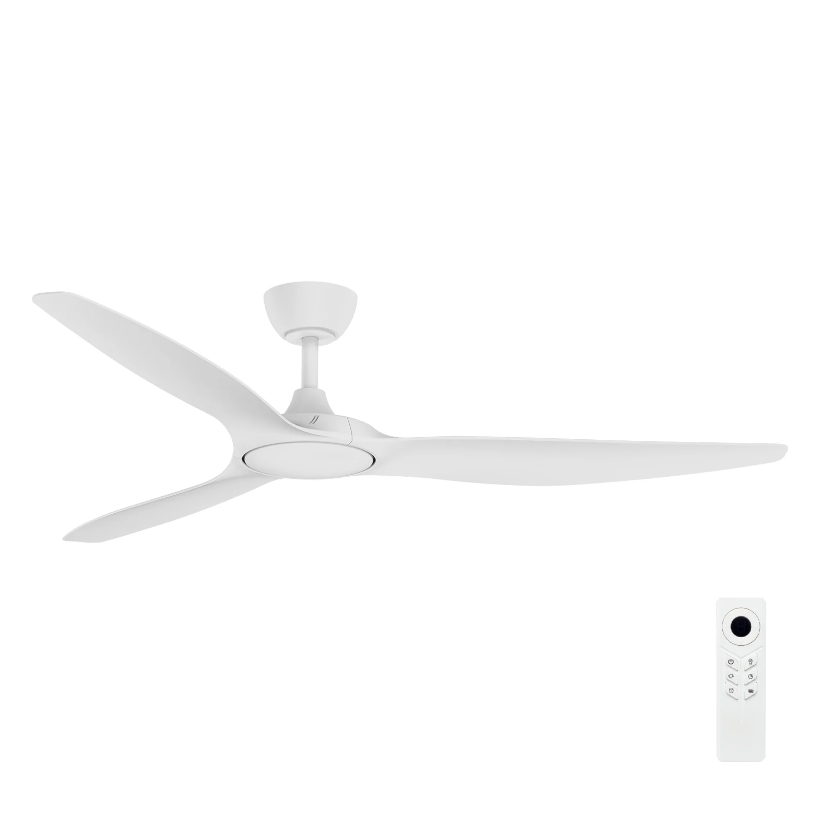 Ceiling Fan With Light